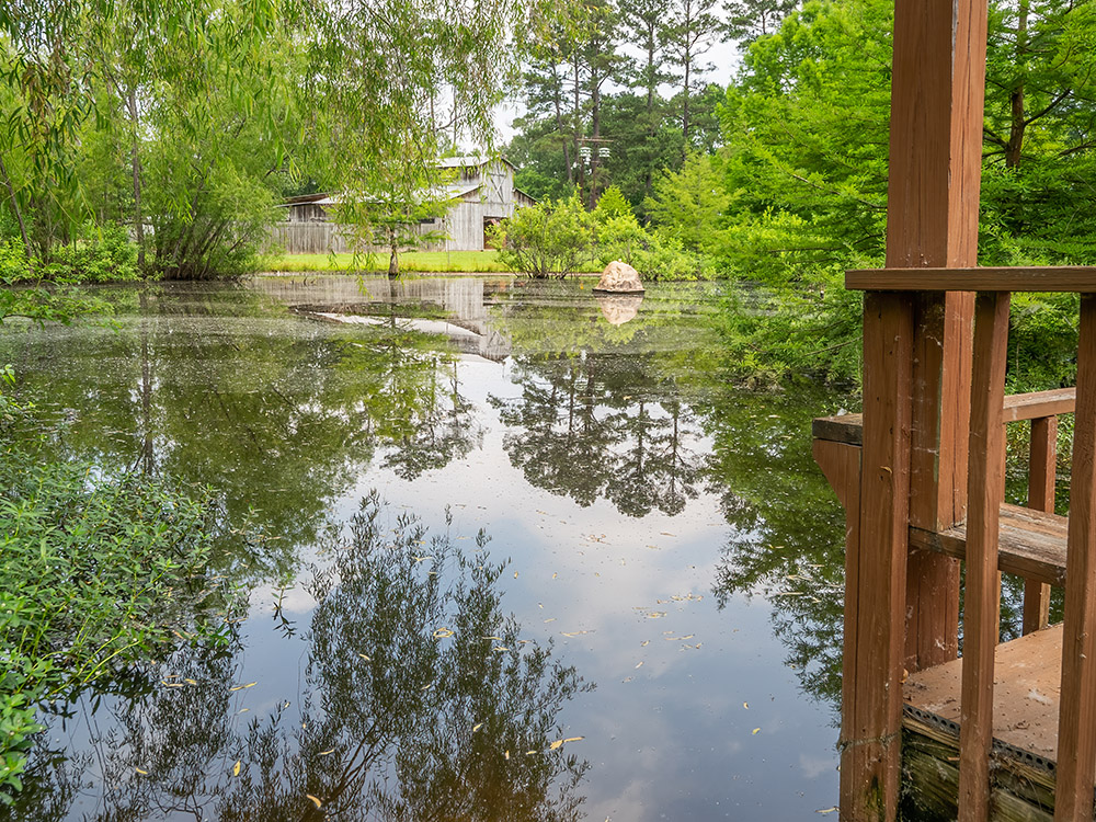 small pond surrounded by trees and distant barn at shreveport winery