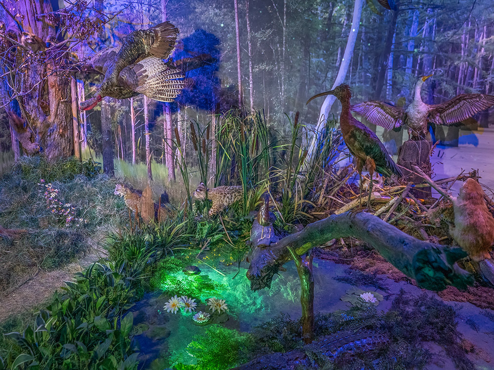 various animals on display in darkened swamp scene