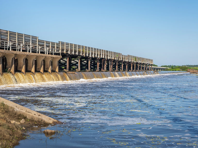 Lake Bistineau State Park The Heart of Louisiana