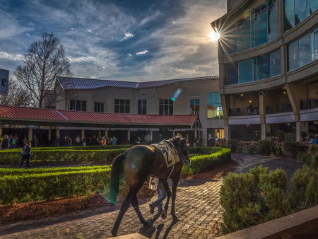 New Orleans Fairgrounds 150 Years of Racing | The Heart of Louisiana