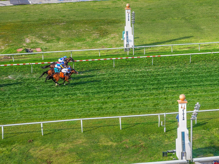 New Orleans Fairgrounds 150 Years of Racing | The Heart of Louisiana