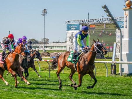 New Orleans Fairgrounds 150 Years of Racing | The Heart of Louisiana