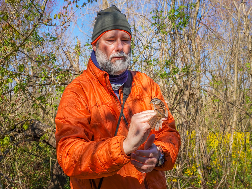 man in orange jacket prepares to release small bird