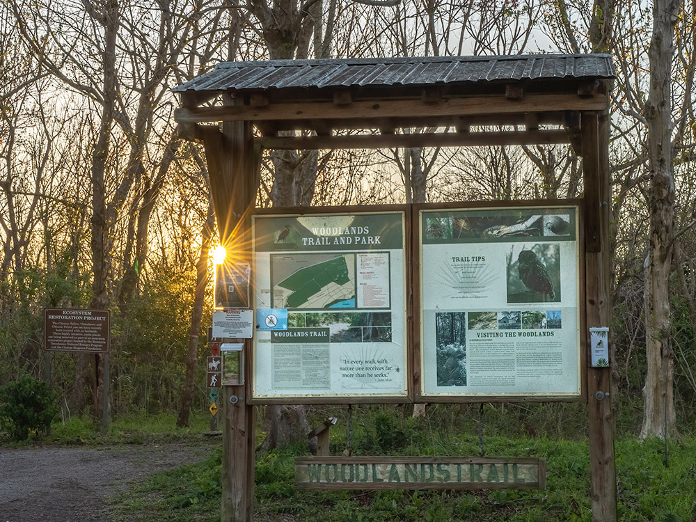 sunrise behind Woodlands Trail sign