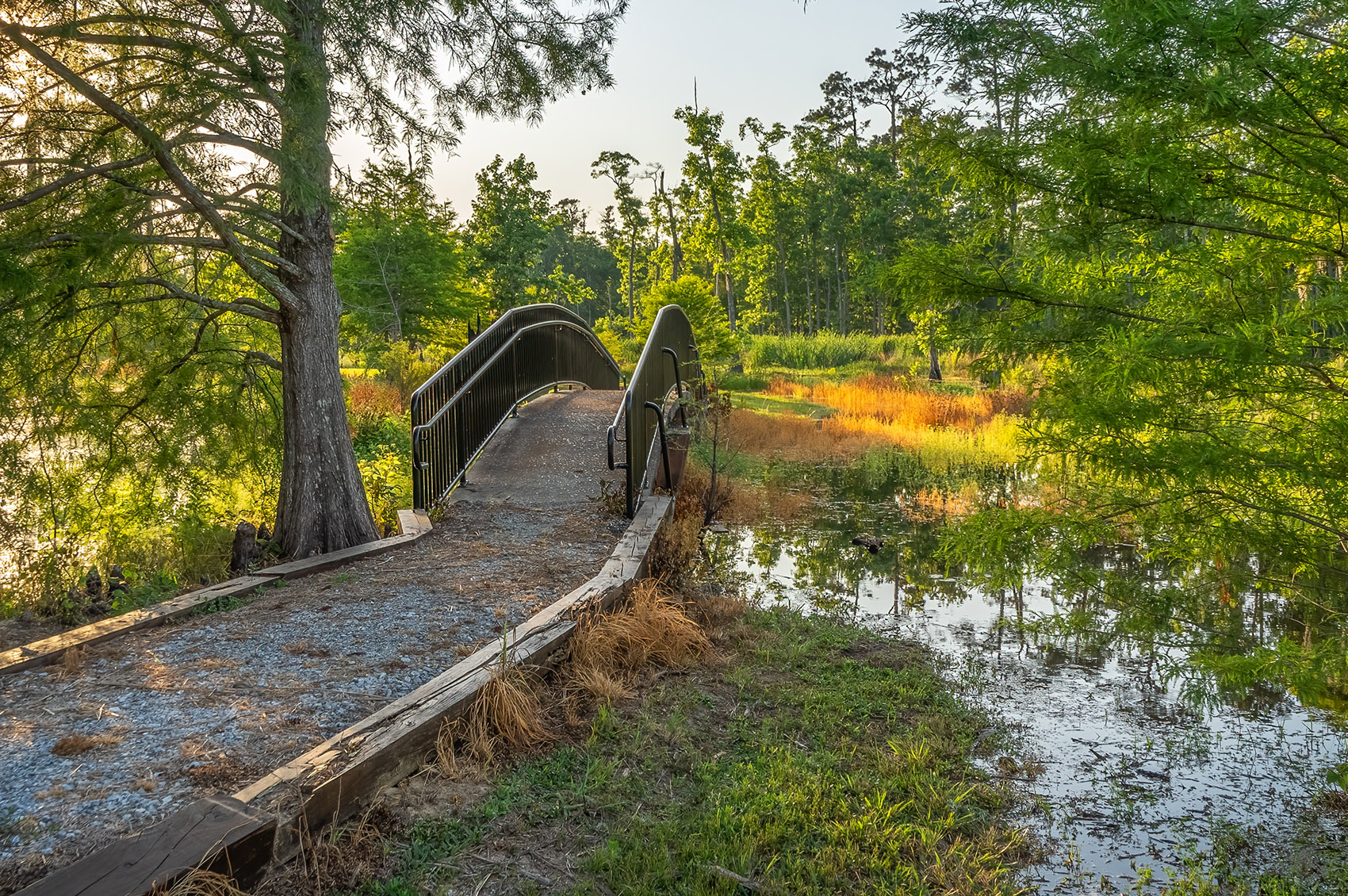 Sam Houston Jones State Park Rebounds The Heart Of Louisiana