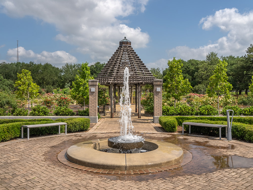 fountain and gazebo with blooming roses in botanic garden