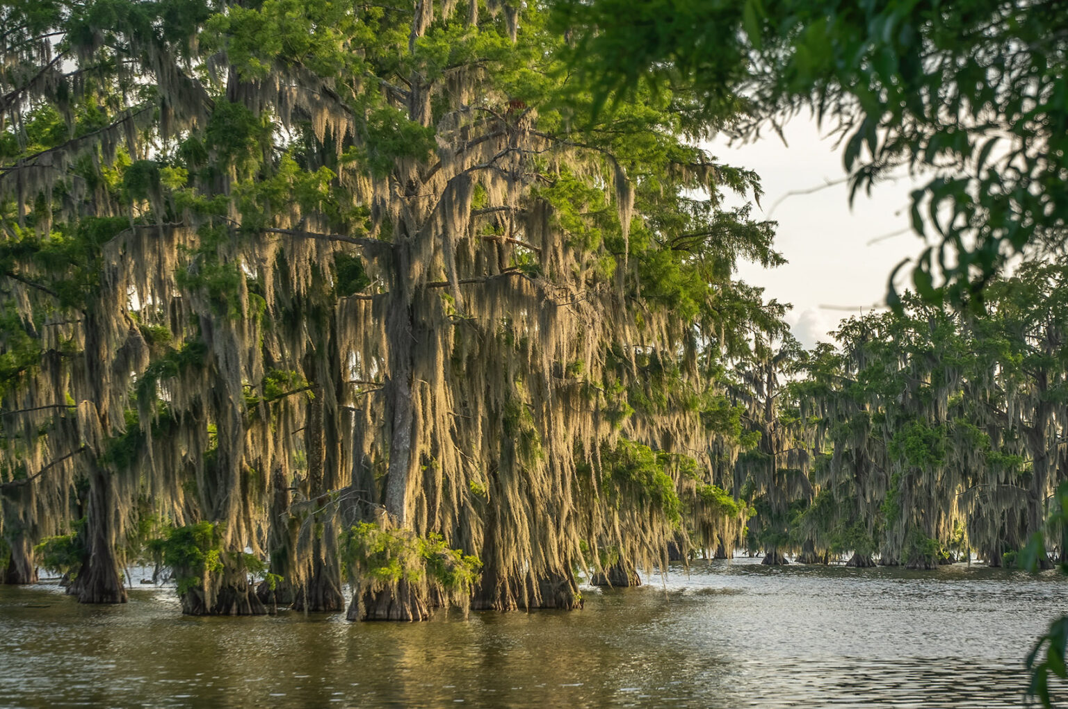 Explore the Acadiana Region of Louisiana  The Heart of Louisiana