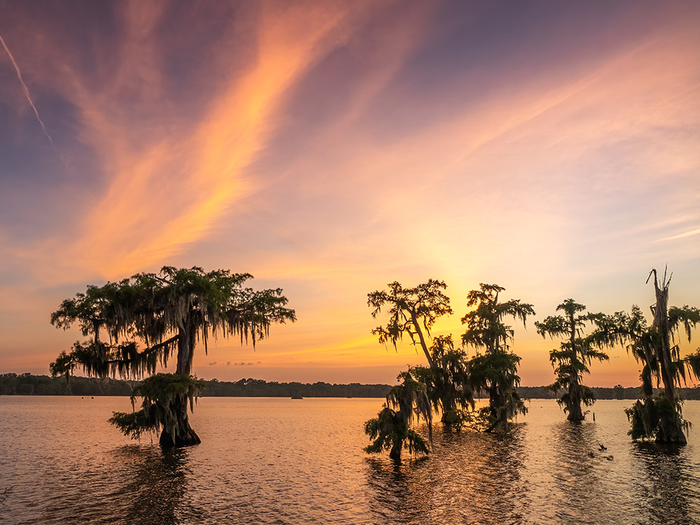 The Nature Conservancy and Lake Martin | The Heart of Louisiana