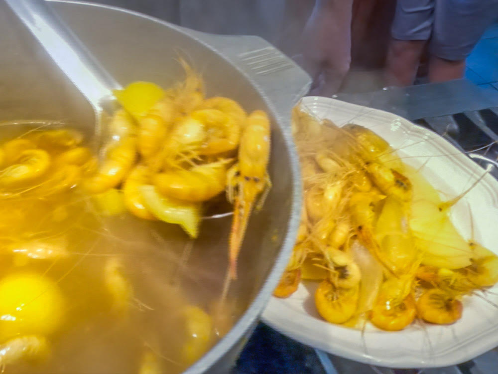 boiled shrimp sponned from pot of water on stove