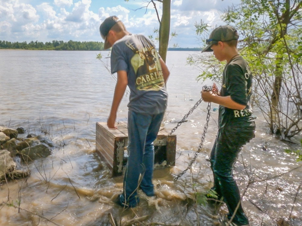 two boys pull chained wood box with catch of Mississippi River shrimp