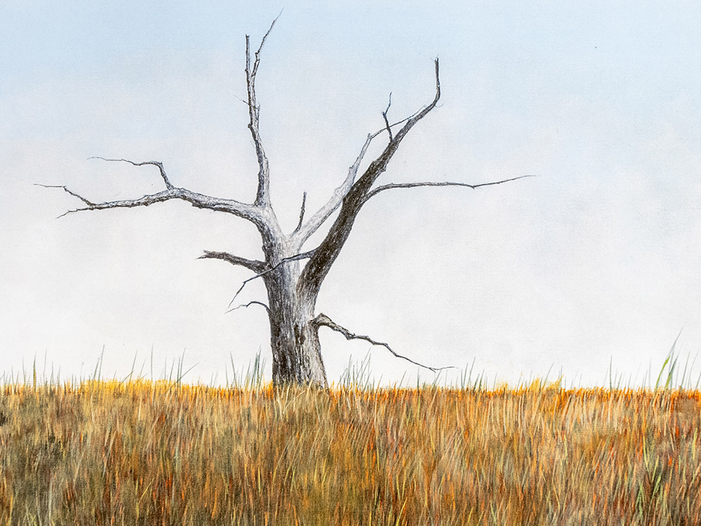 art painting of dead oak tree in Louisiana marsh