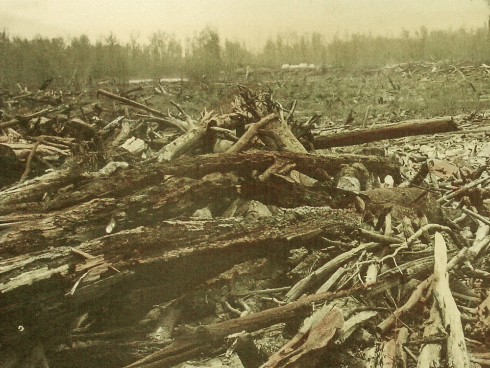 old tinted photograph of massive logjam on red river