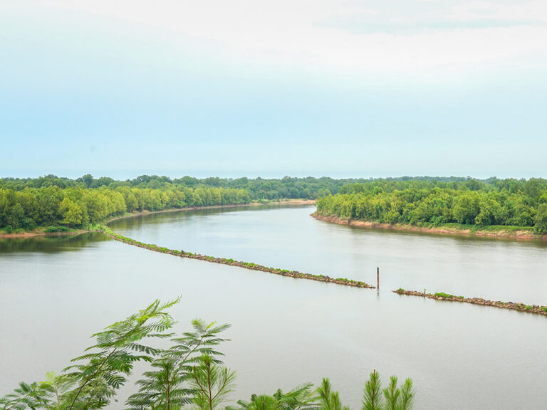 The Great Raft on the Red River in Louisiana The Heart of Louisiana