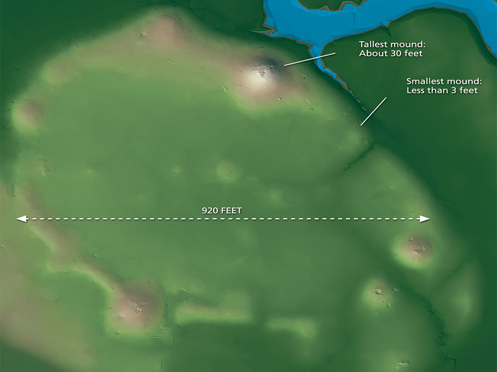 aerial view of watson brake mounds in Louisiana