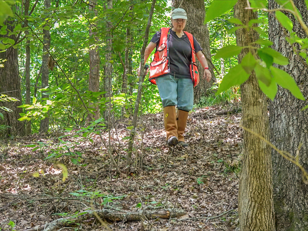 archealogist wearing hat orange vest and boots descends tree covered mound