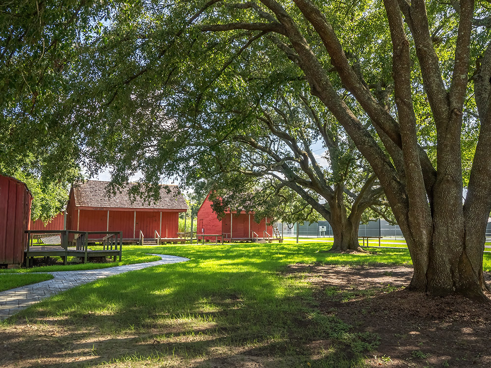 oak trees and wooden cabins painted rad at West Baton Rouge Museum