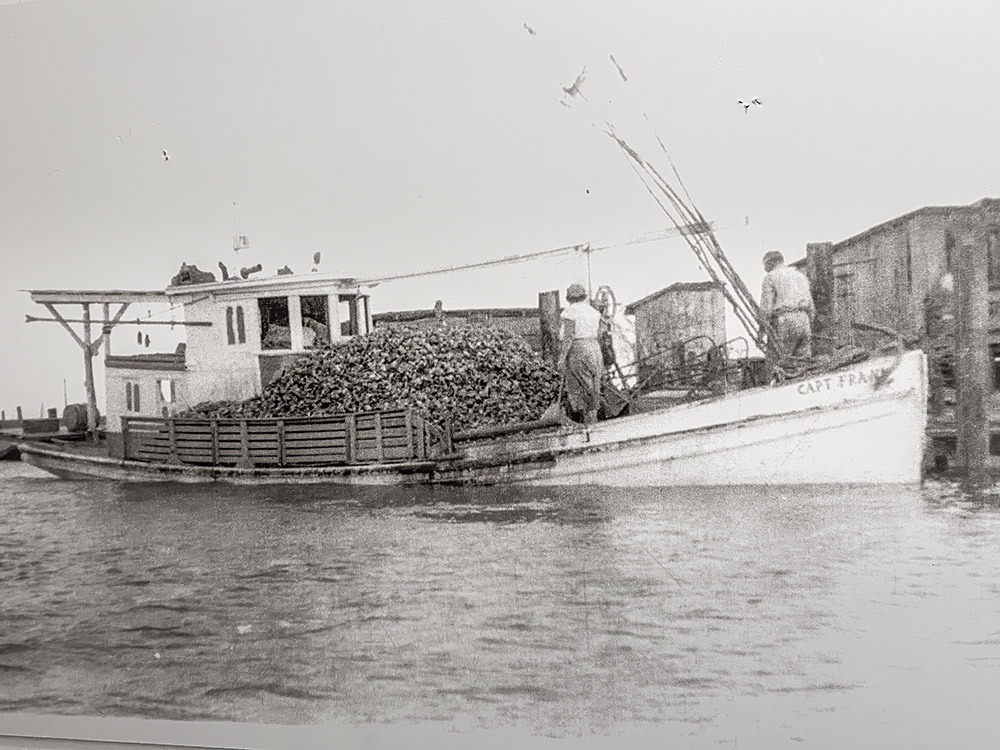 old photograph of white wooden boat loaded with oyster shells