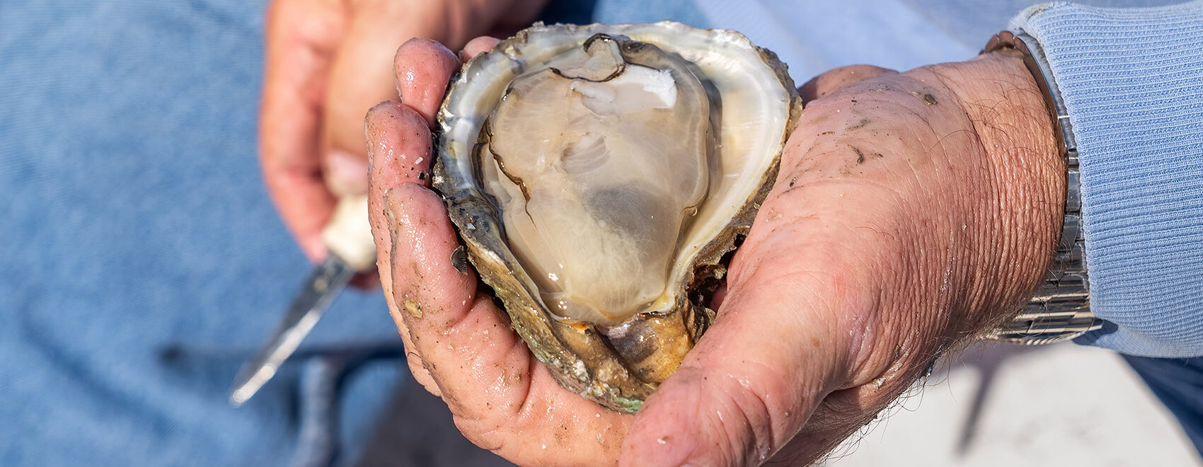 man holding oyster opened in shell
