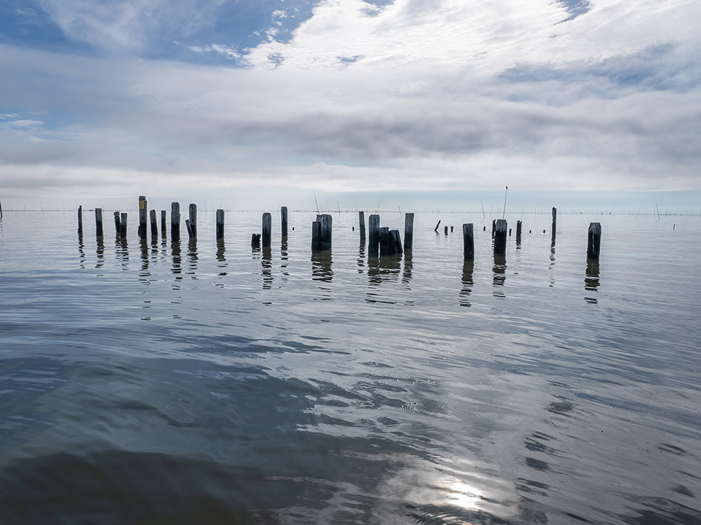 pilings in water of Louisiana bay