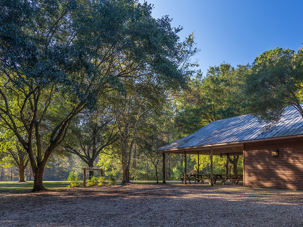 picnic pavilion and trees on sunny day