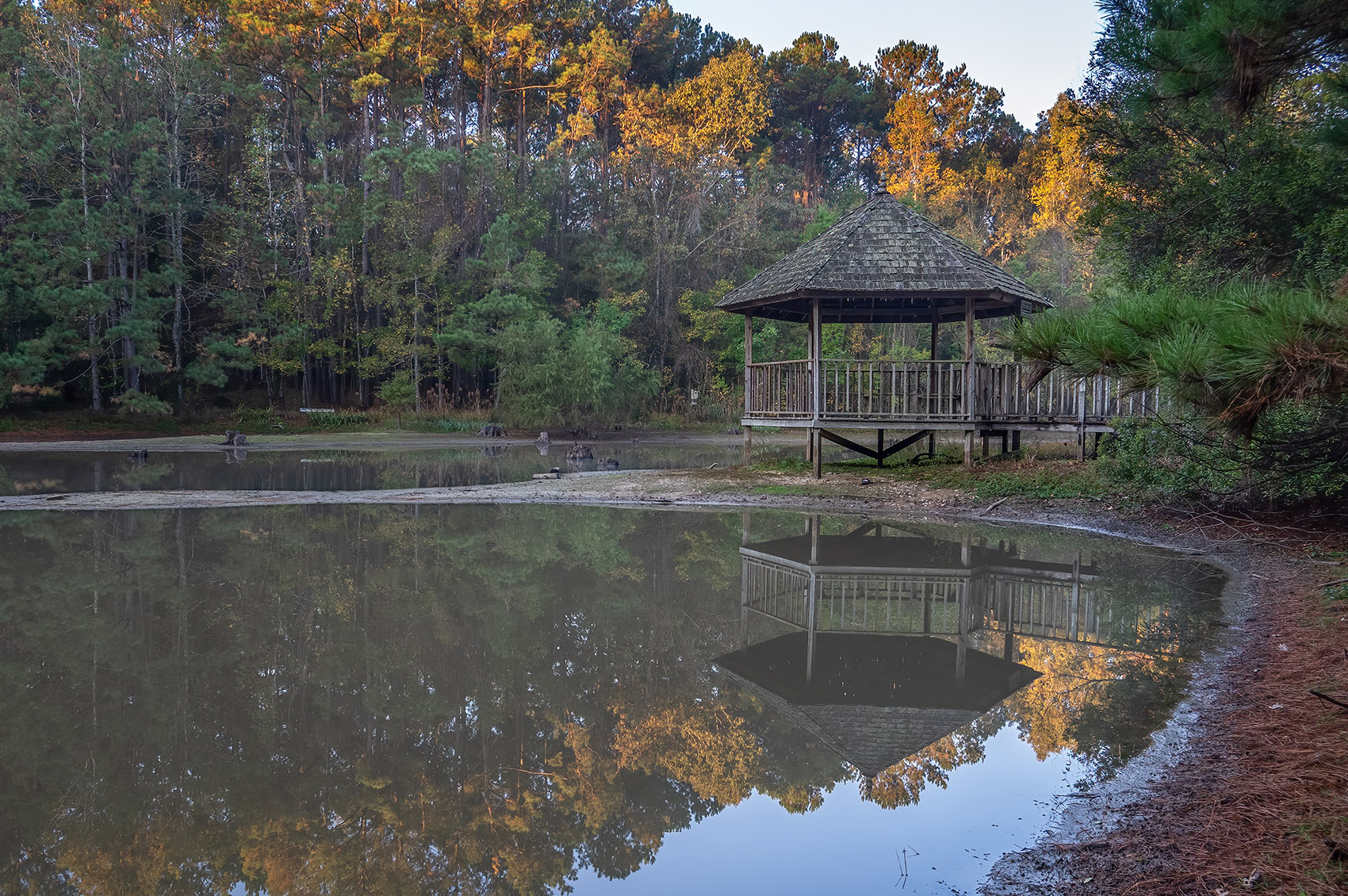 natural wood gazebo reflects in water of pond in forest