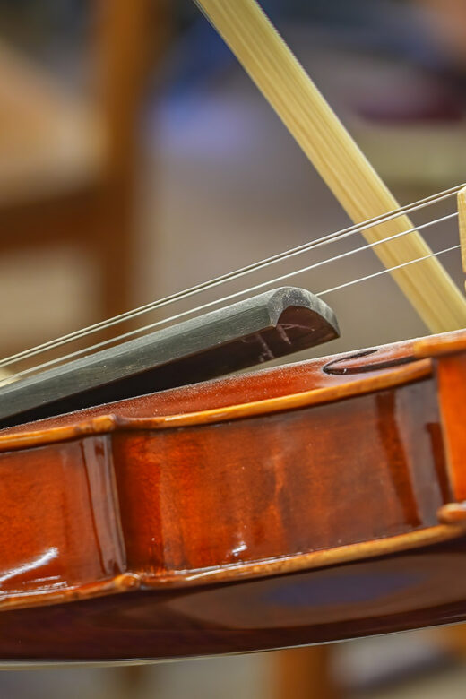 closeup of violin with bow