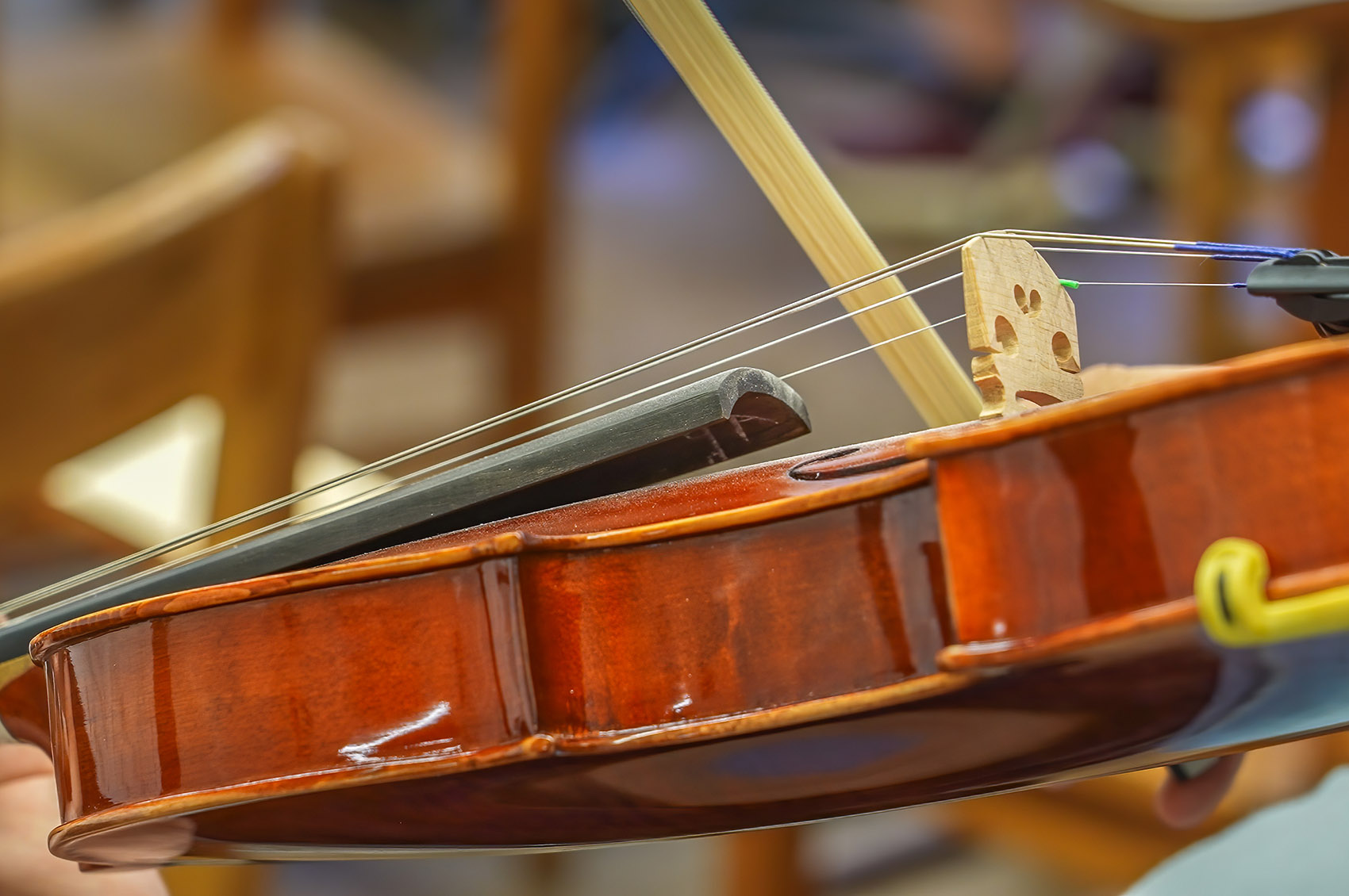 closeup of violin with bow