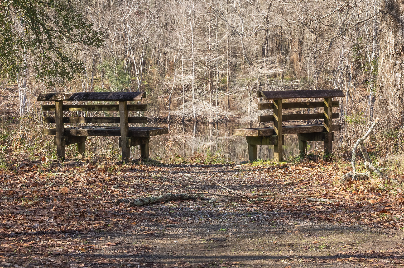 two wooden benches overlook bayou in forest in winter