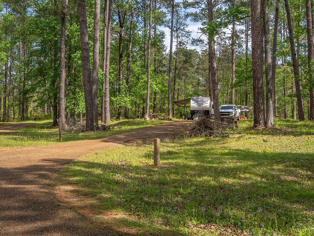 camper and white pickup truck under trees in campground