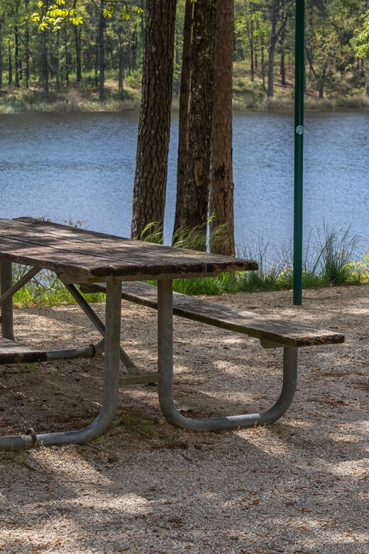 picnic table under shade of pine trees overlooking Valentine lake