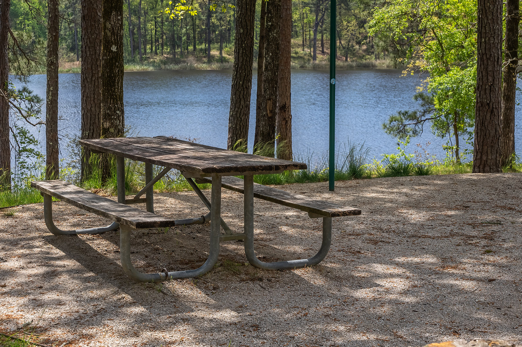 picnic table under shade of pine trees overlooking Valentine lake