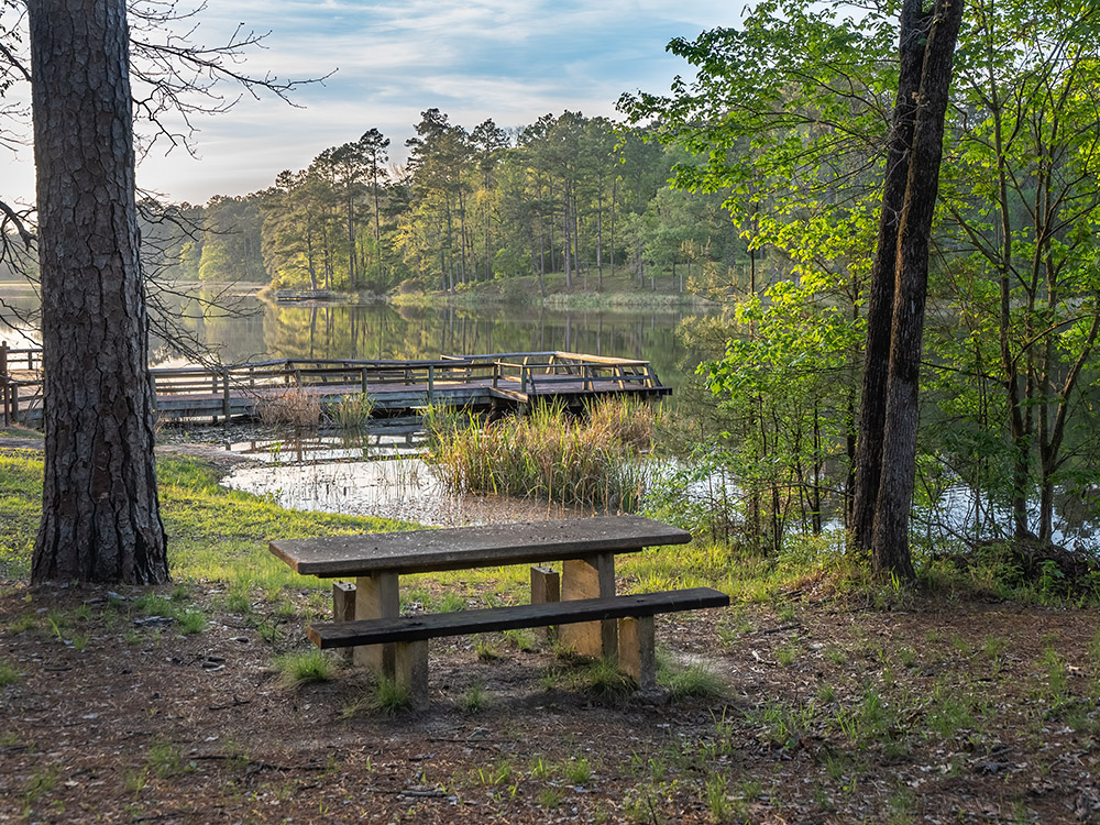 picnic table under shade trees with fishing pier over Valentine Lake