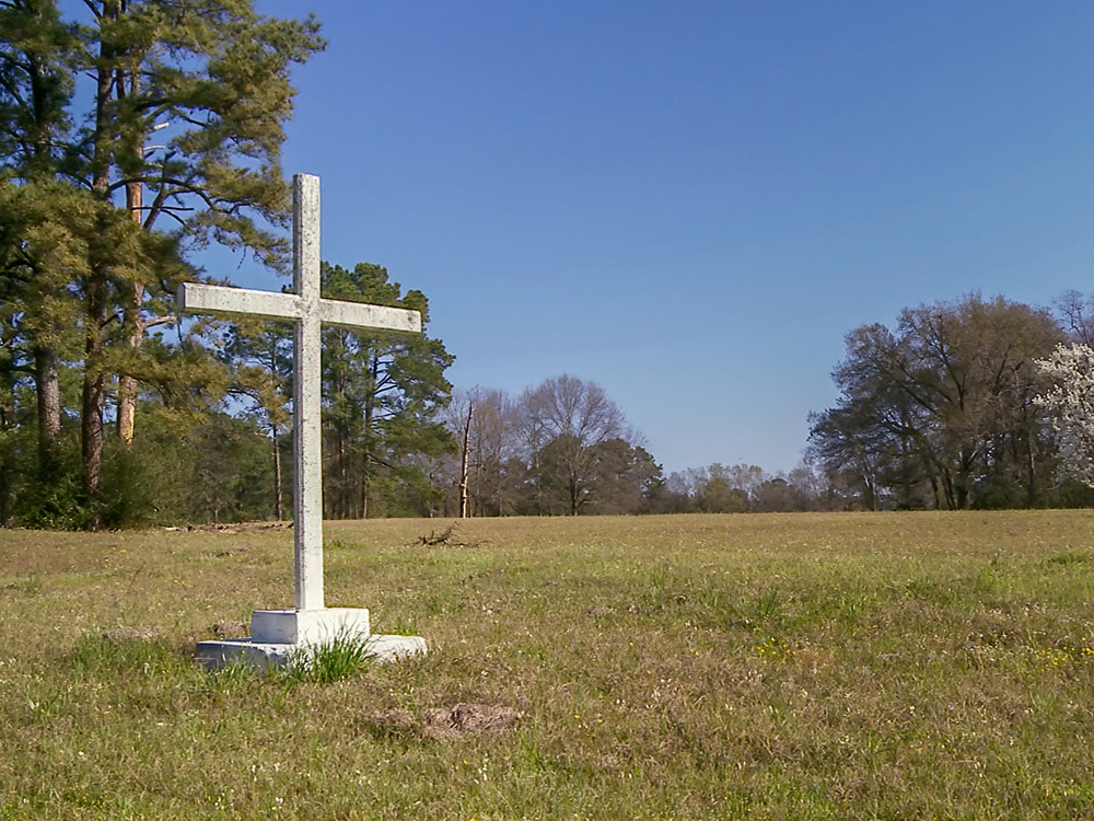 white cross in a field surrounded by trees.