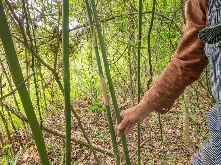 Duck Call Maker Clings to Tradition The Heart of Louisiana