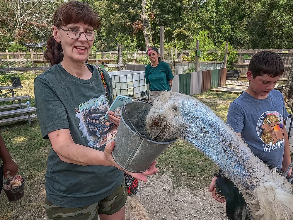 woman with glasses and wearing t-shirt hold metal bucket to feed emu