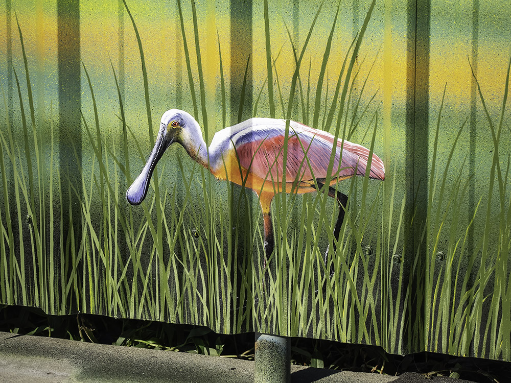 painting of a pink roseate spoonbill by Lafitte artist