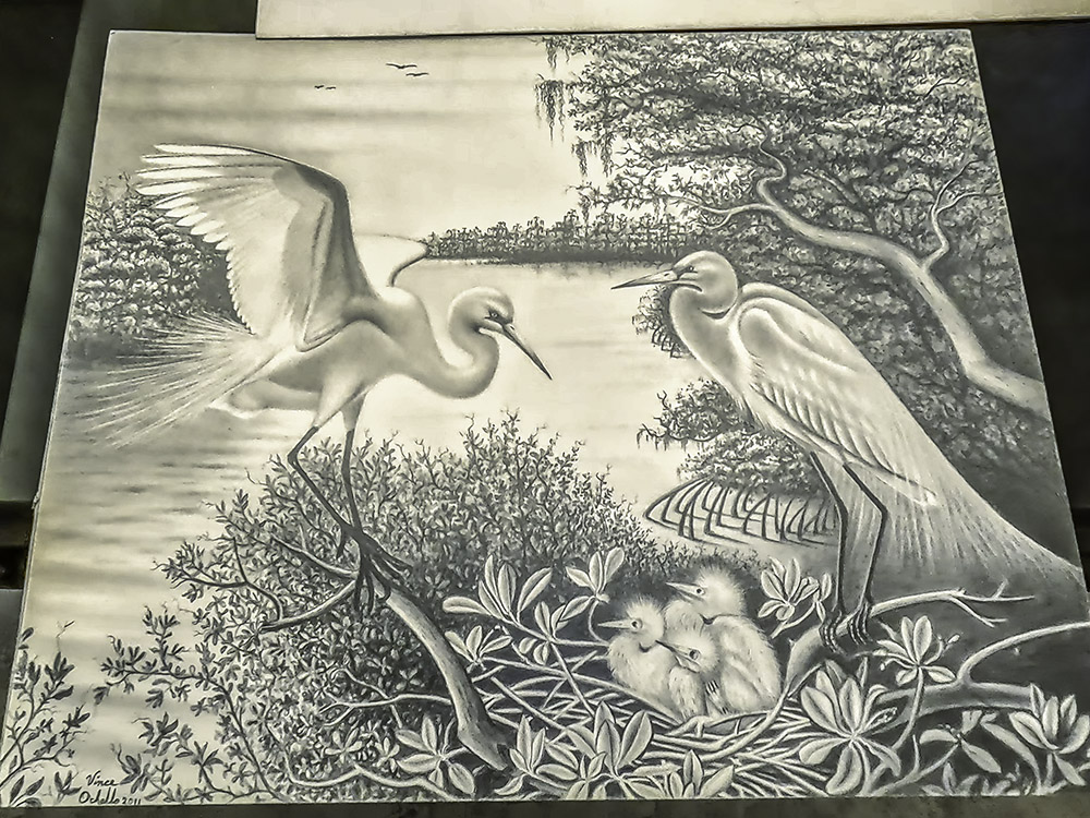 pencil drawing of wading birds in the swamp by Lafitte artist