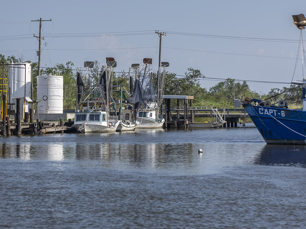 shrimp boats docked along bayou under blue sky
