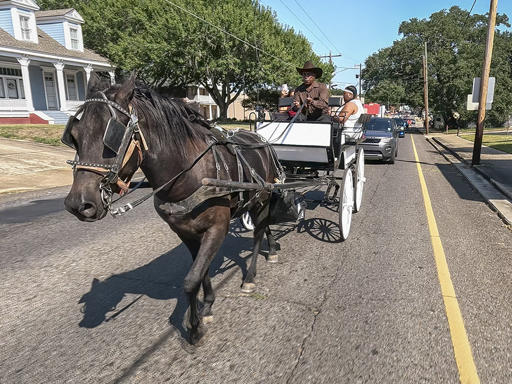 horse pulling white wagon down street with traffic
