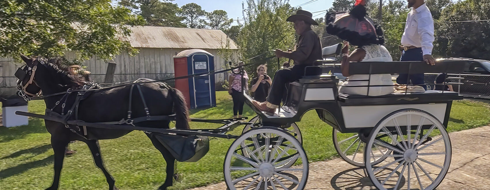horse and white buggy with people at creole wedding