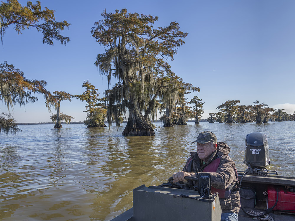 man wearing camo jacket steers aluiminum boat through louisiana lake with large cypress trees.