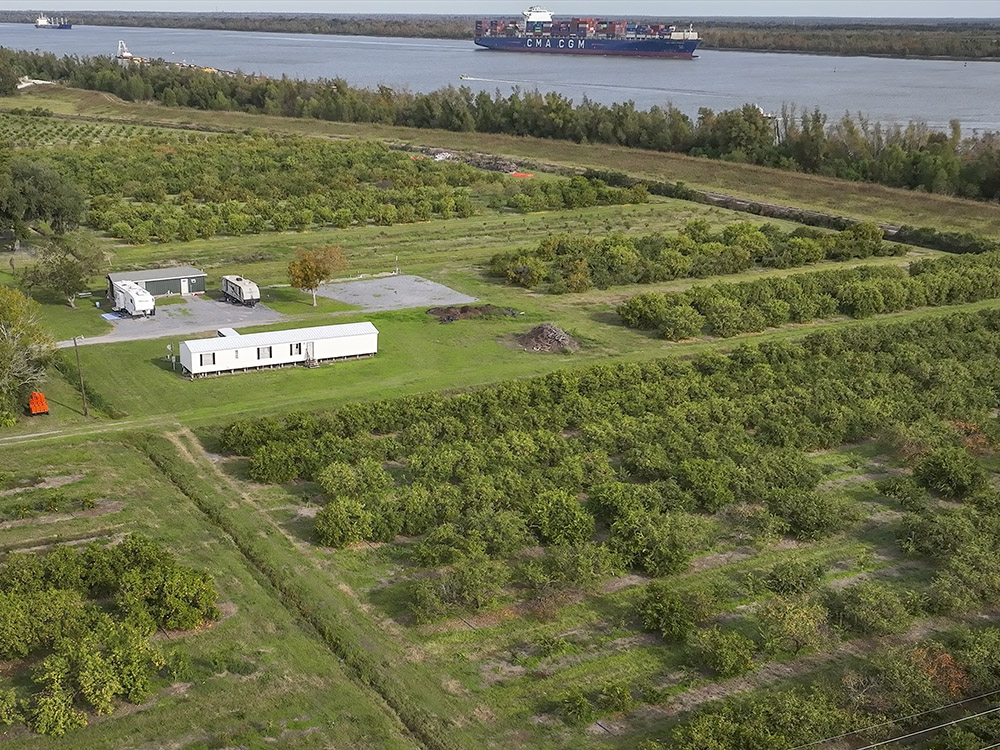 aerial view of orange grove near Mississippi River.