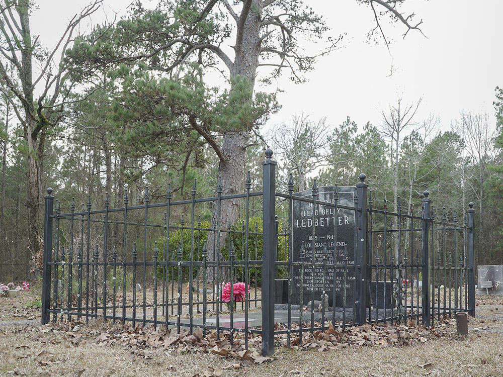 grave site behind black metal fence under tree