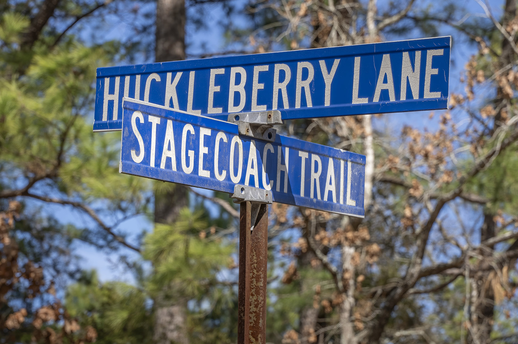 blue street sign for stagecoach trail