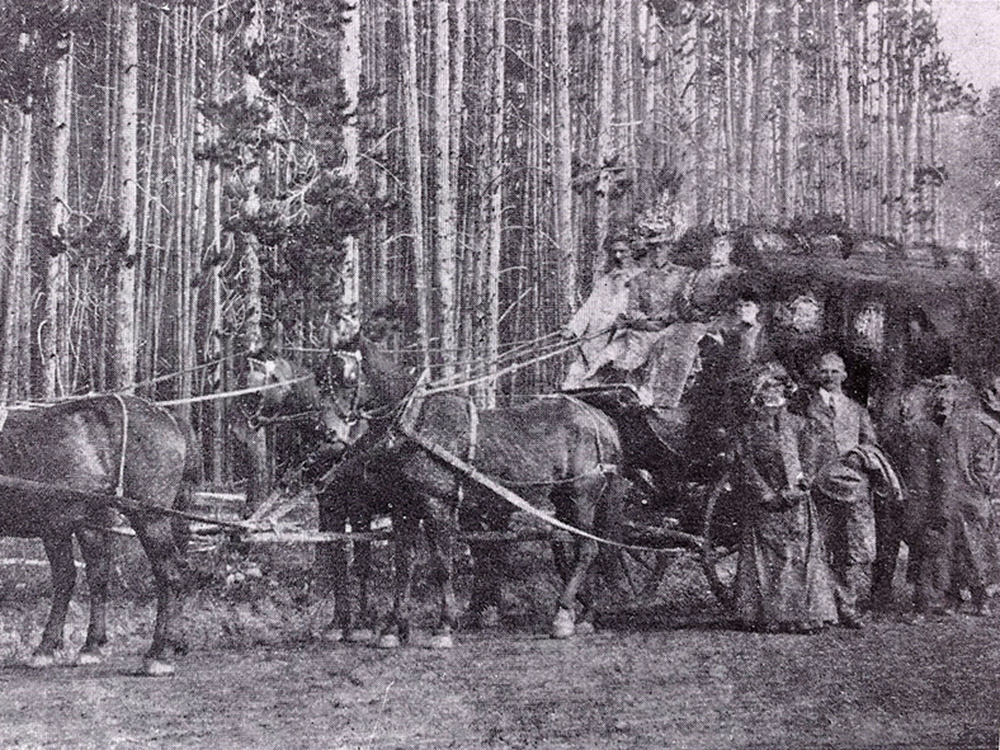 black and white photo of riders, horses and stagecoach near forest