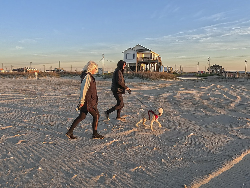 man and woman walking dog on sandy beach in early morning light