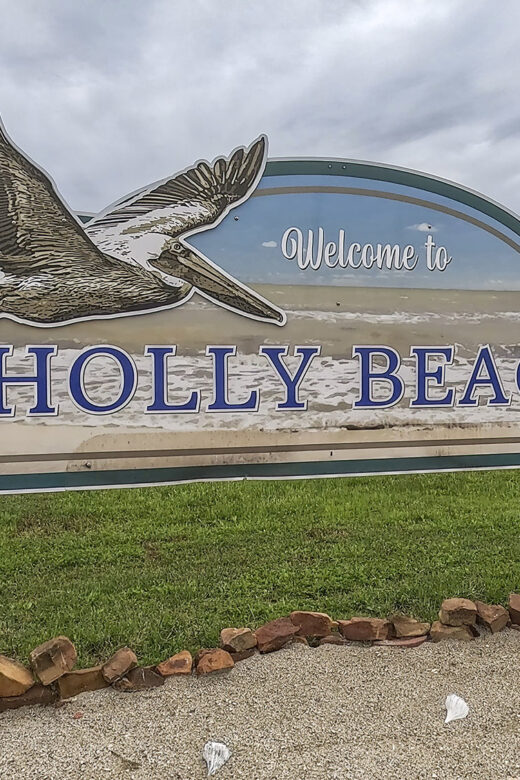 wood sign with pelican and welcome to Holly Beach