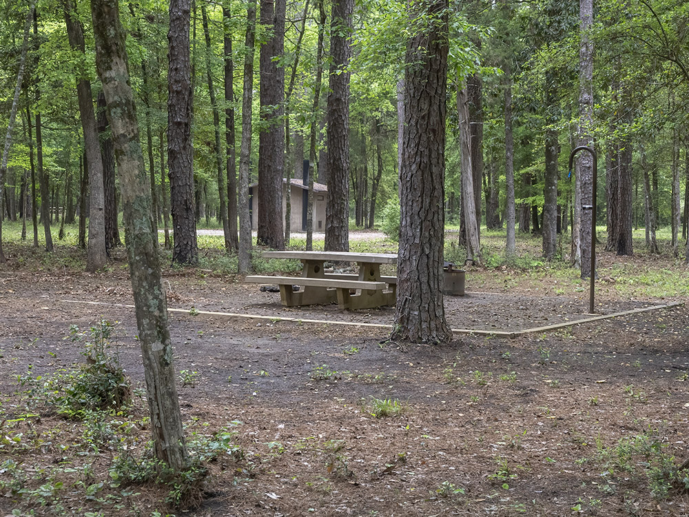 picnic table and camping area in forest
