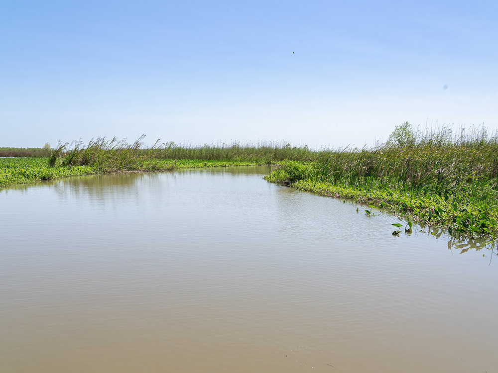 waterway through marsh with green grass