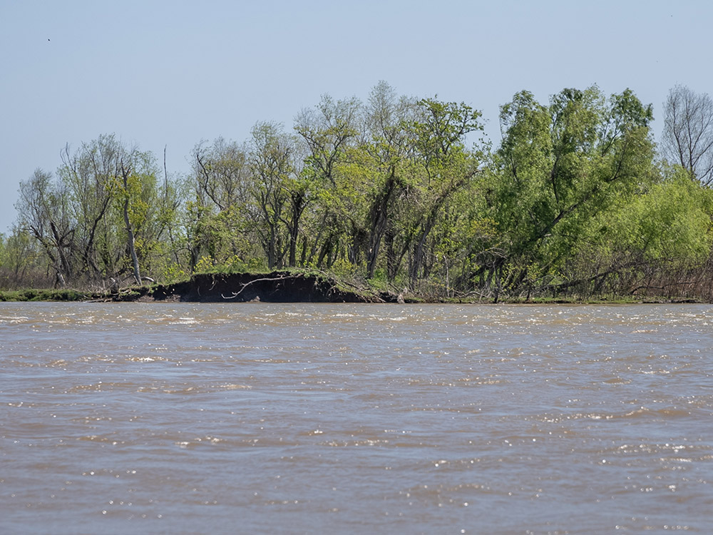 breached earthen levee with trees and open water